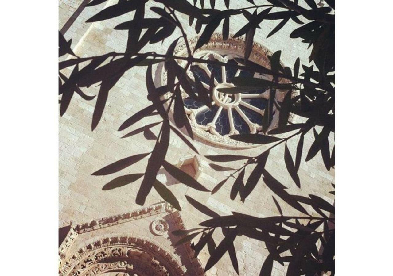 Mansarda Romantica "Il Nido Delle Rondini" Conversano Exterior foto