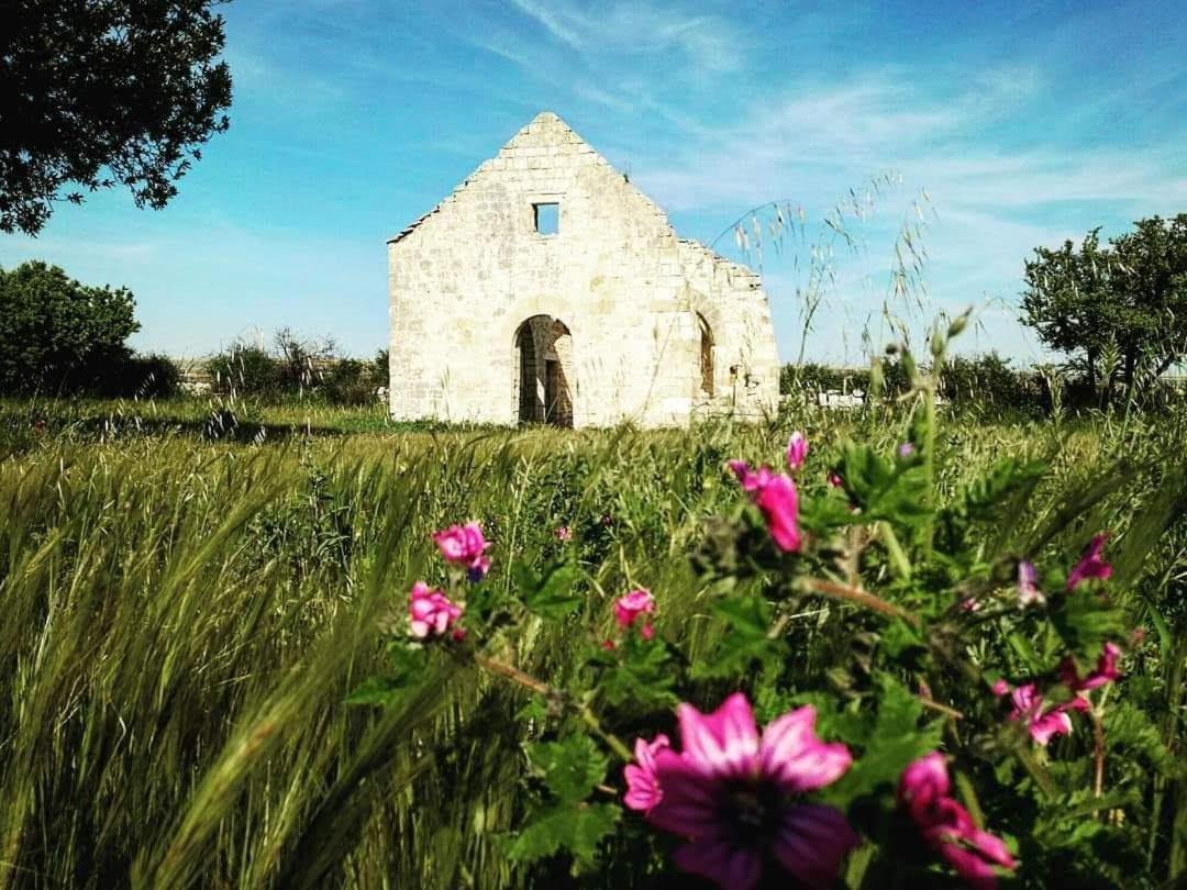 Mansarda Romantica "Il Nido Delle Rondini" Conversano Exterior foto